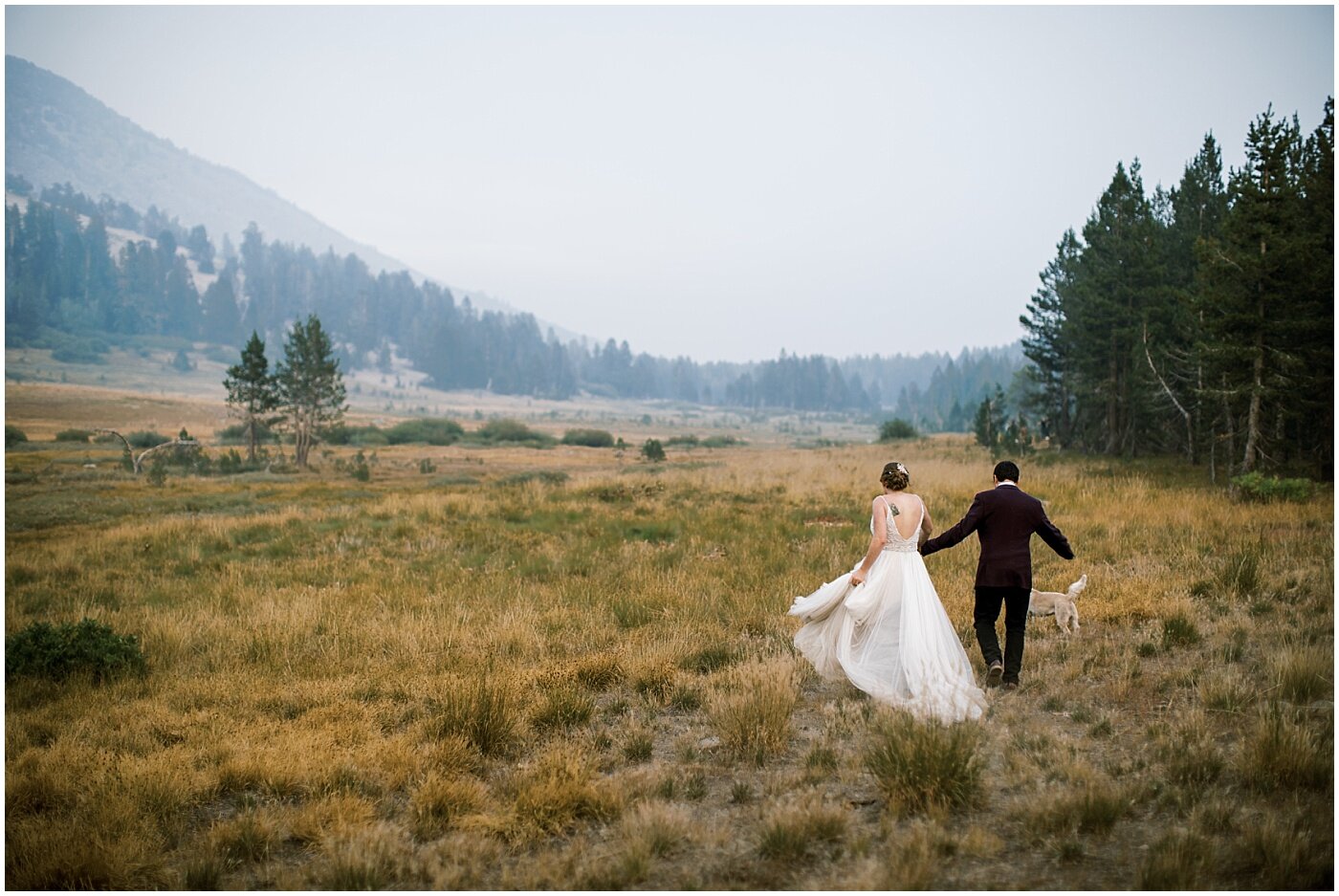 bride and groom hiking with their dog in lake tahoe for their adventure elopement