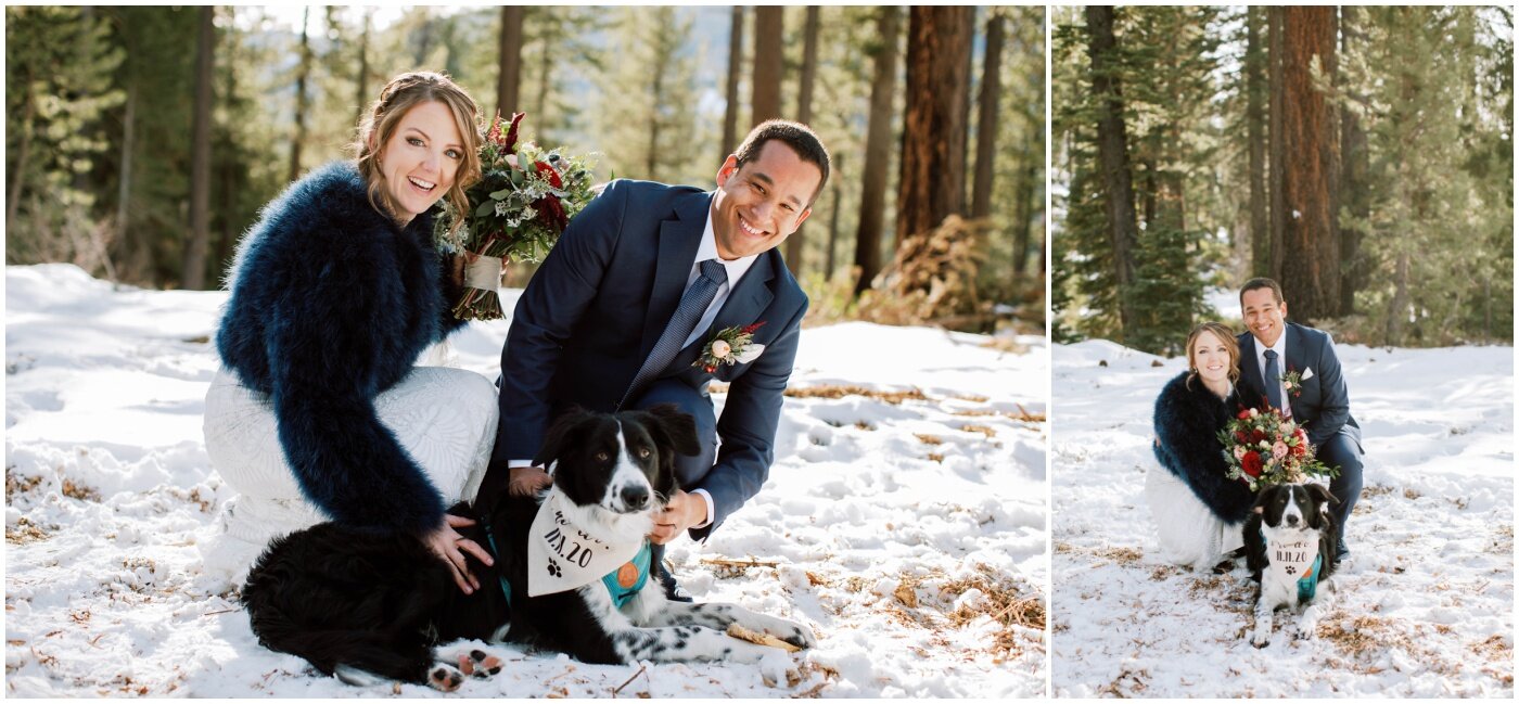 bride and groom with their dog who is wearing a custom bandana with their wedding date