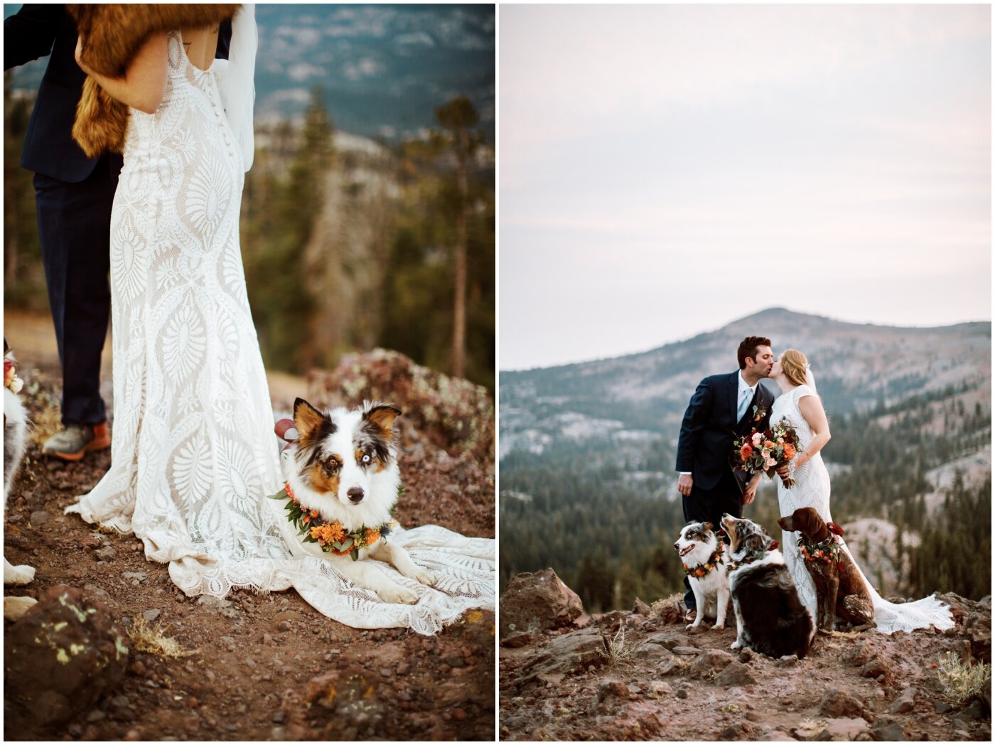 include your pets in your wedding - ruthanne z - lake tahoe elopement photographer_0001.jpg