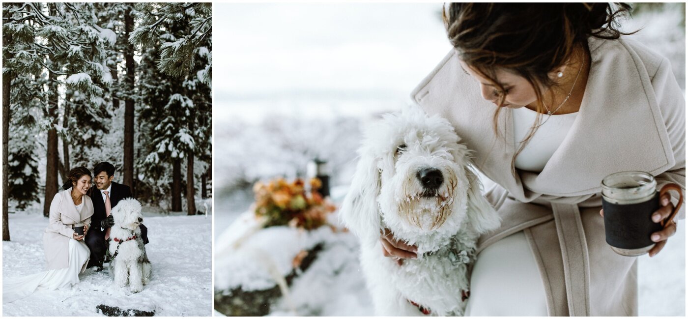 include your pets in your wedding - ruthanne z - lake tahoe elopement photographer_0002.jpg